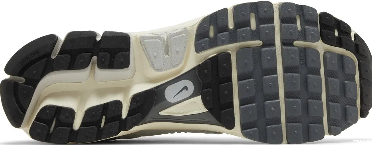 Tint Zoom Platinum Vomero 5 Nike 0705